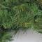 24&#x22; Canyon Pine Mixed Greens Artificial Wreath